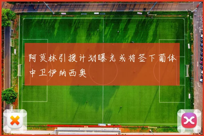 阿莫林引援计划曝光或将签下葡体中卫伊纳西奥